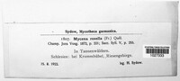 Mycena rosella image